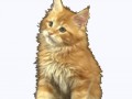 meaw_by_luisbc-d7icnqz