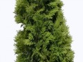 klipartz.com (13)