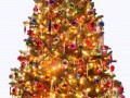 christmas_tree_png1