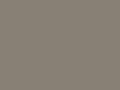 Перламутровый мышино-серый	#898176	137	129	118