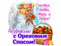 a25fffb1a228a7e1dc366201908a15f0