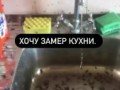 Живой уголок