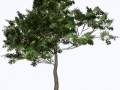klipartz.com (29)