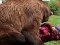 Гризли