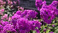 IMG_0022 копия