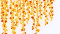 ChatGPT Image 10 сент. 2026 г.,