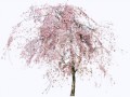 0_54bb2_e97c9f43_XL.1png