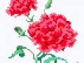 fon_3_7_arnusha