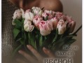 -имени-1_01
