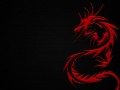 1254930664-year-of-the-dragon.1