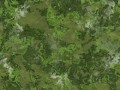 optimized-yaeb