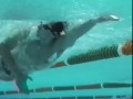 Perfect Technique - Ian Thorpe