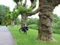 Bundesfahrrad