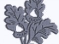 3__arnusha