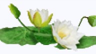30ce82598f7a0789463faf36fa423ad7Плеер