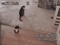 Fungif_22