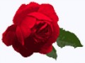 3_1_arnusha