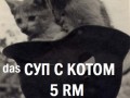 Суп с котом
