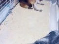 Потерпевший