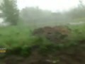 Ураган в Барнауле. Ул. Сергея Ускова 30.05.2017