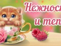 Нежности и тепла