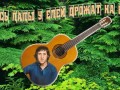 здесь-лапы-у-елей