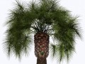 2159310_yapfiles.ru
