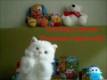 СОН РЫЖЕГО КОТА