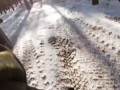 Мотострелки отважных разобрали позиции укропов.