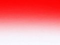 neon_otbl_red_yapfiles.ru_yapfiles.ru