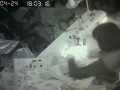 Кому сумочек от Гуччи?
