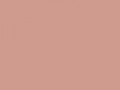 Серовато-розовый	#CF9B8F	207	155	143