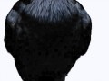 134517719_gifs_02 плеер
