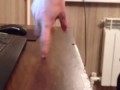 Кавказский Юмор лезгинка на пальцах)