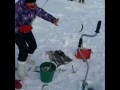 сахалинская рыбалка