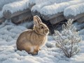 1 Американский художник Paul Krapf